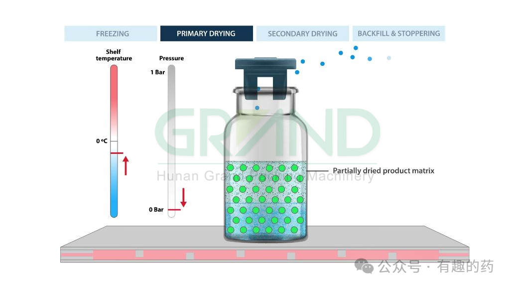 Lyophilized powder sublimation drying Lyophilized powder sublimation drying