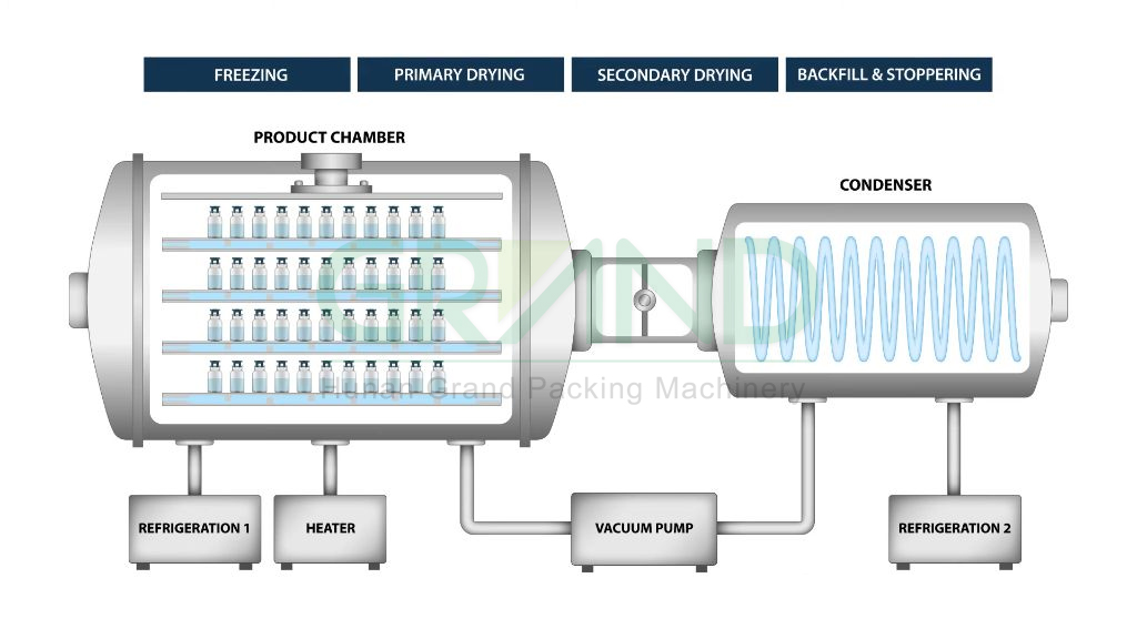 Working principle of freeze dryer Working principle of freeze dryer