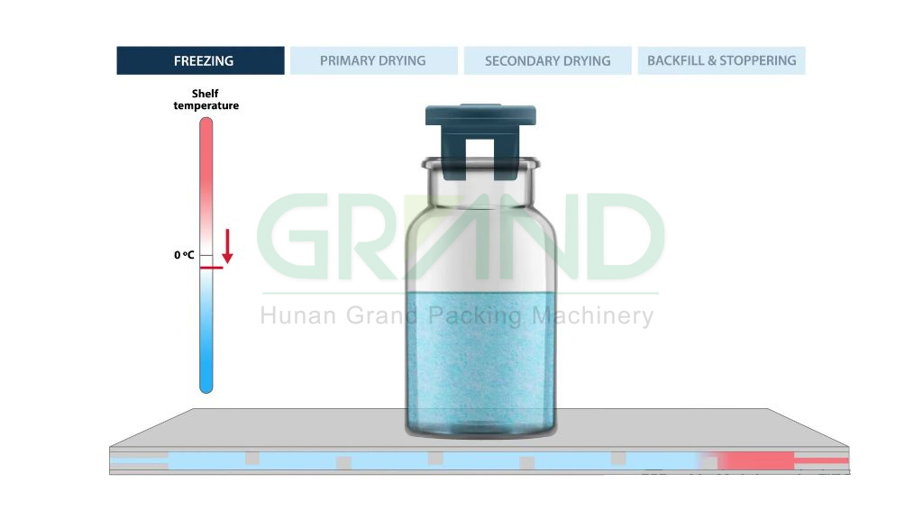 freeze drying freeze drying