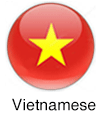 Vietnamese language language