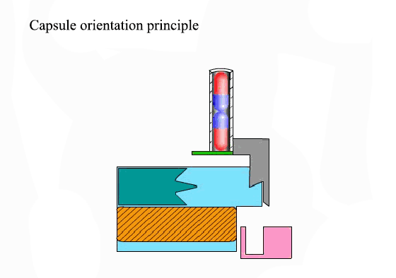 Capsule orientation principle
