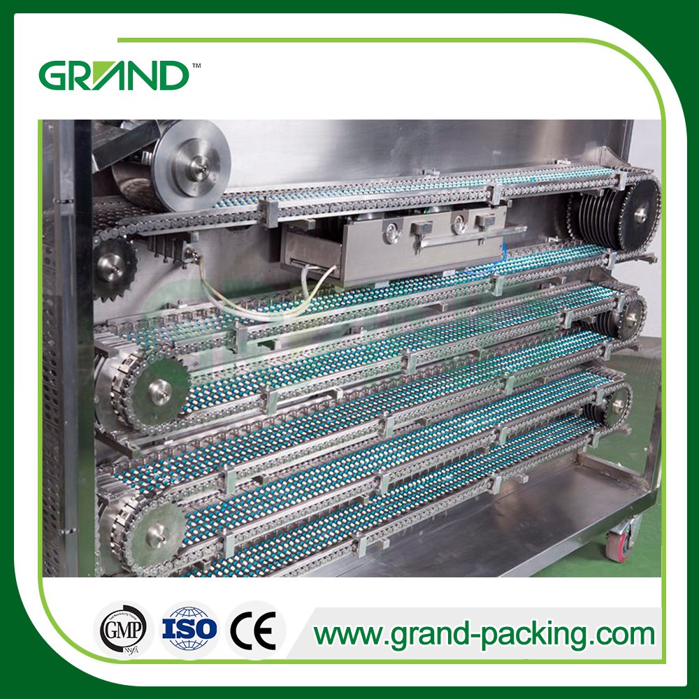 NSF-600 full automatic pharmaceutical liquid/hard capsule banding sealing machine