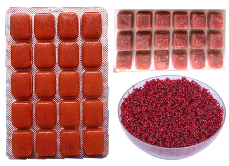 How to Preserve Bloodworms? - Hunan Grand Packaging Machinery Co.,Ltd