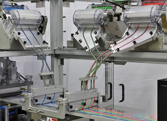 Classified feeding system