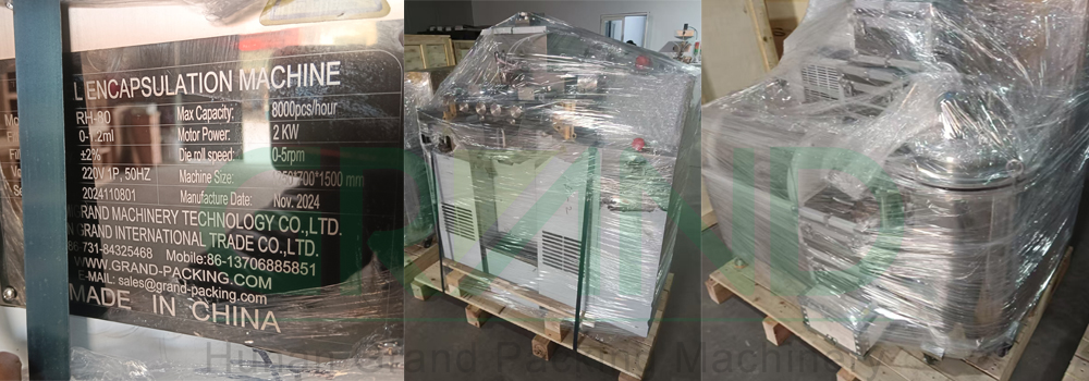 softgel encapsulation machine Exported to Morocco